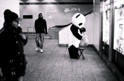 Sad panda